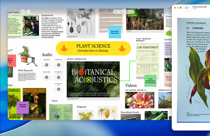 Schermo di  un Mac con una lavagna Freeform sulla botanica composta di audio, video e ricerche, e accanto una finestra di Anteprima con un PDF, a dimostrare le tante opzioni per la produttività